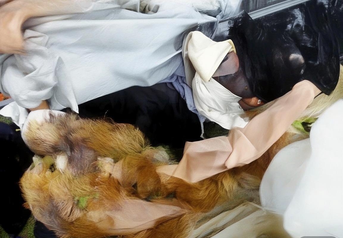 2009年NBA火箭掘金系列赛经典对决回顾(图2)